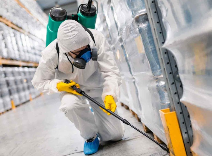Pest Control - Grace Facilities